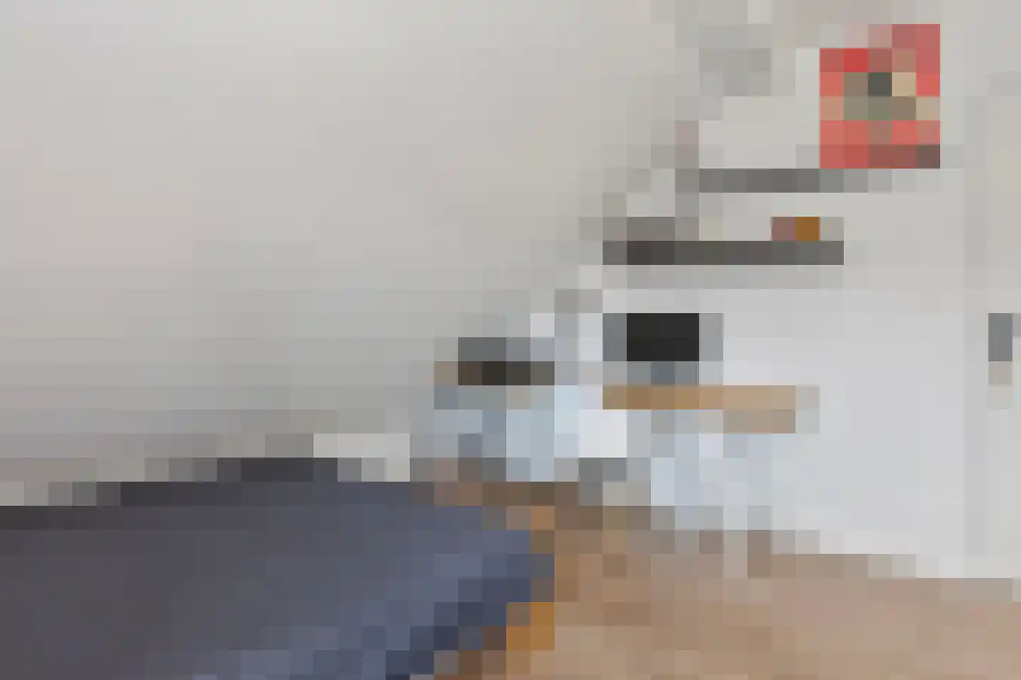 Kruisbessengaard 96 Wijk bij Duurstede thumbnail 50