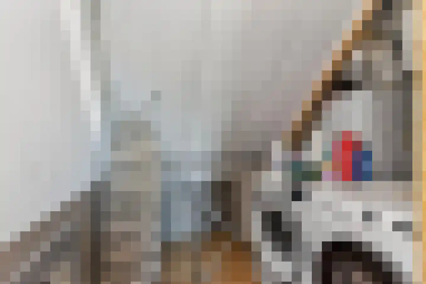 Kruisbessengaard 96 Wijk bij Duurstede thumbnail 54