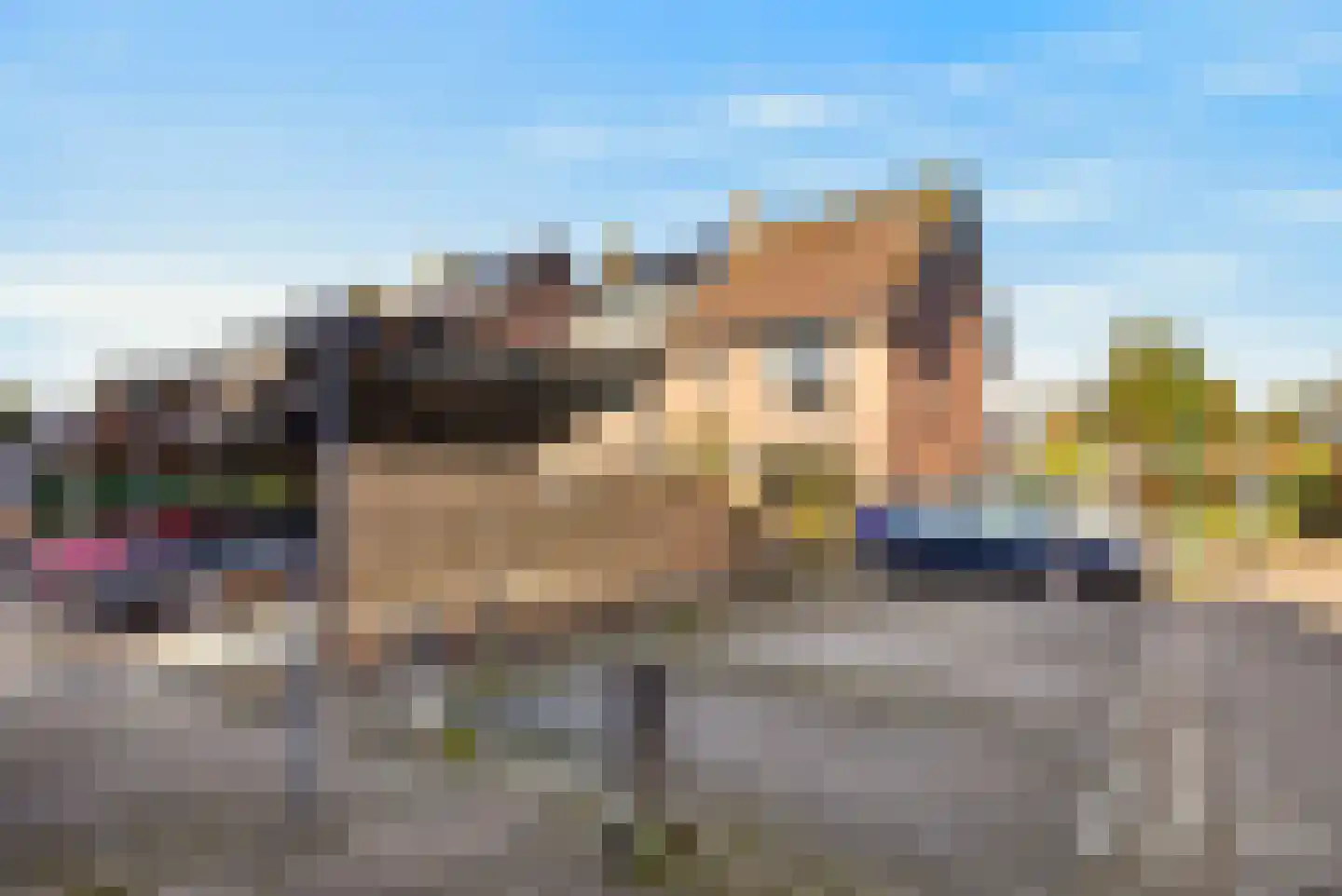 Kruisbessengaard 96 Wijk bij Duurstede thumbnail 56