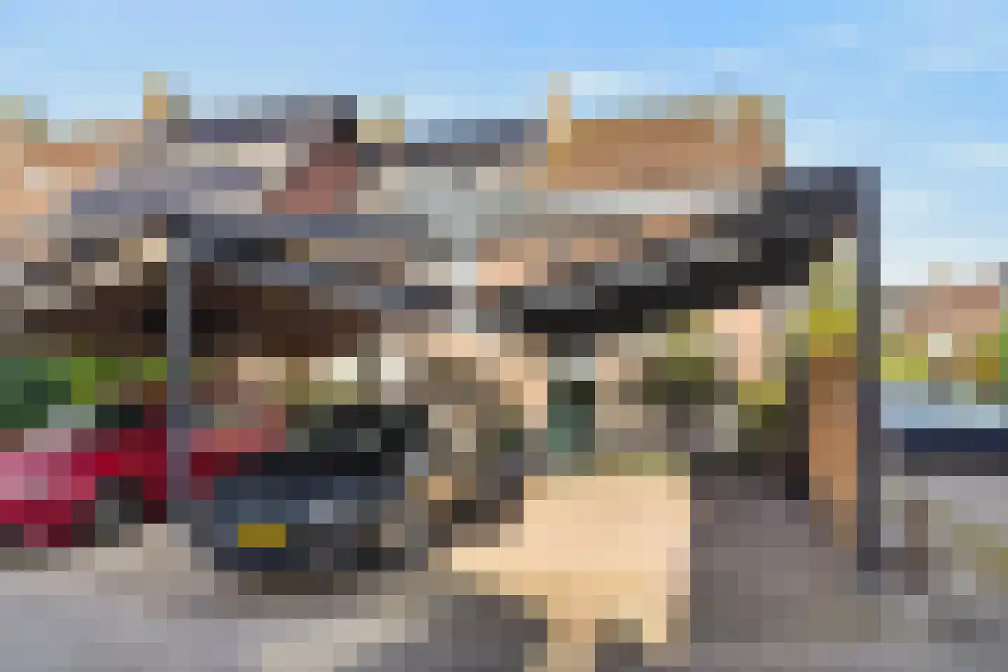 Kruisbessengaard 96 Wijk bij Duurstede thumbnail 60
