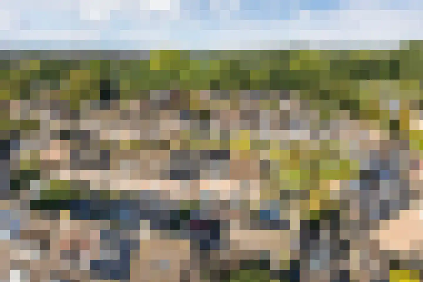 Kruisbessengaard 96 Wijk bij Duurstede thumbnail 64