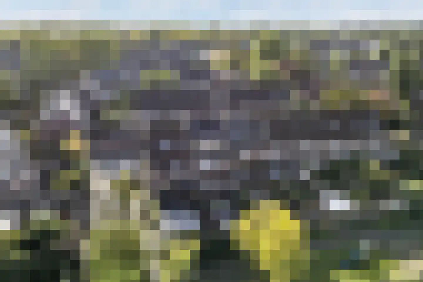 Kruisbessengaard 96 Wijk bij Duurstede thumbnail 65