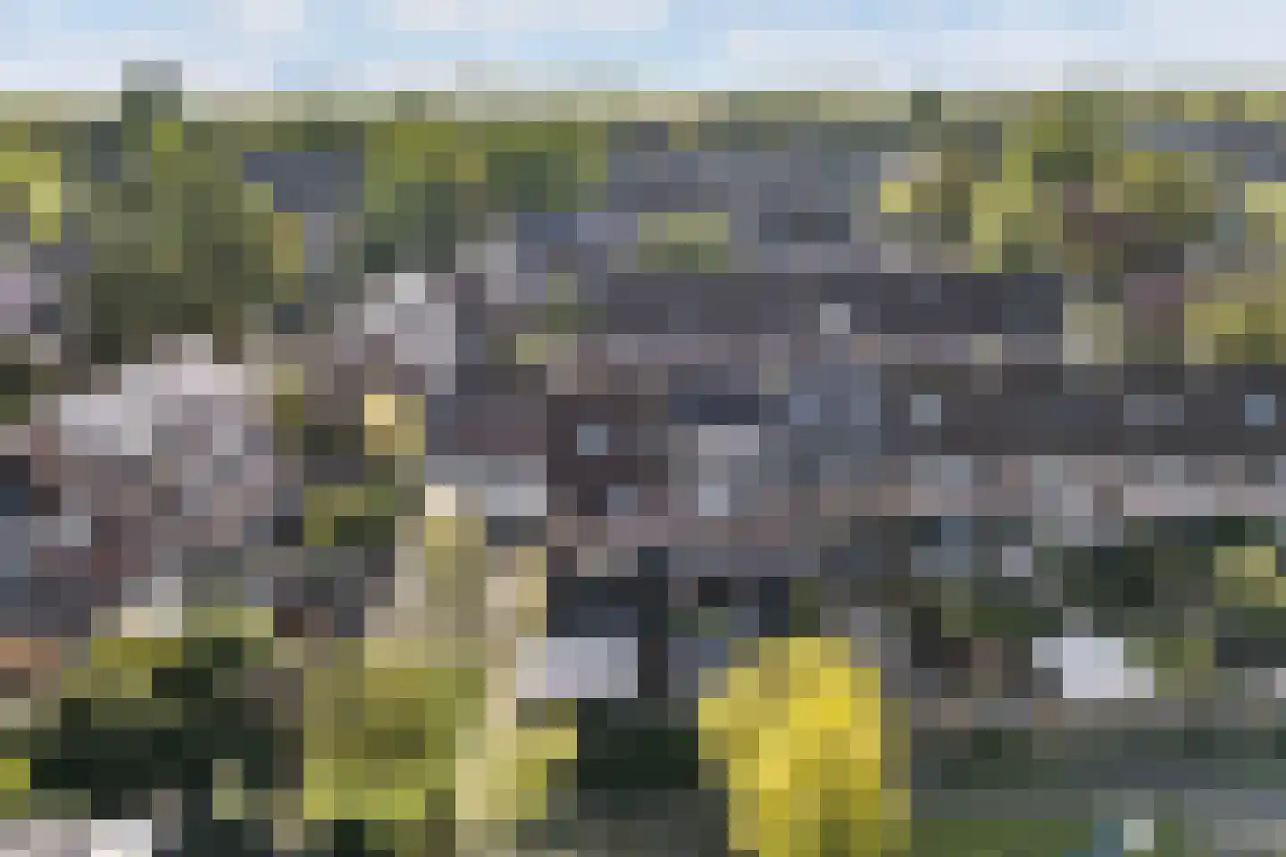 Kruisbessengaard 96 Wijk bij Duurstede thumbnail 66