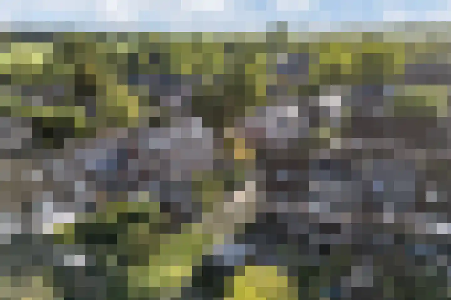 Kruisbessengaard 96 Wijk bij Duurstede thumbnail 67