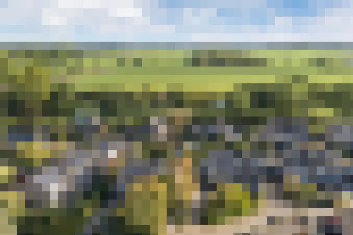 Kruisbessengaard 96 Wijk bij Duurstede thumbnail 68