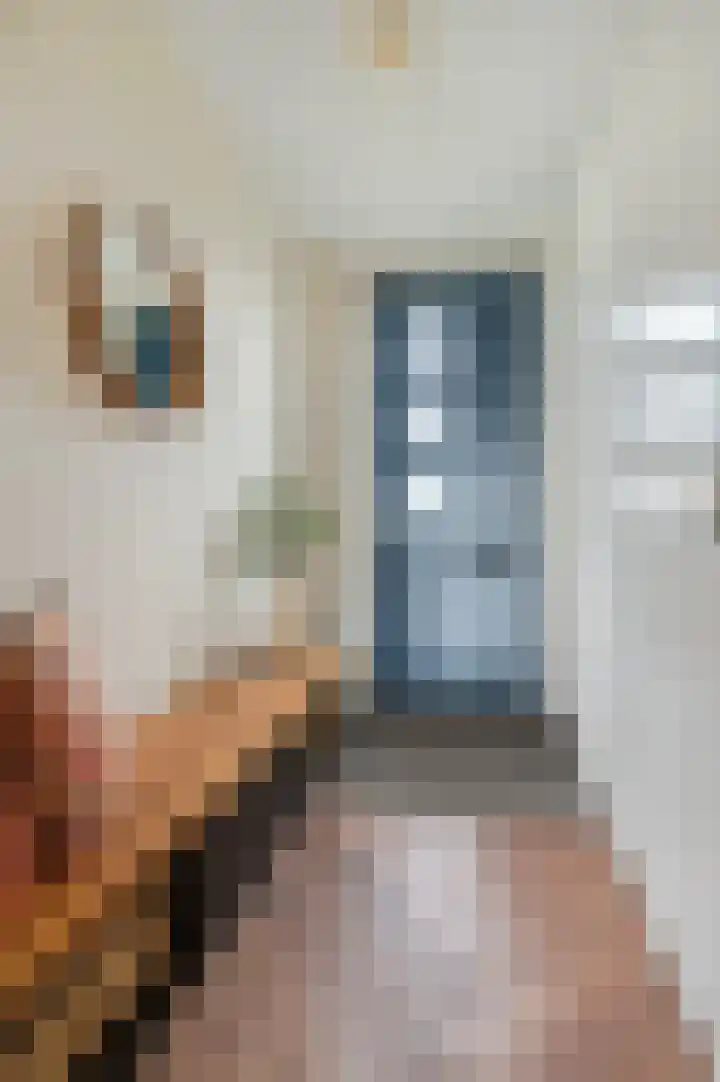 Kruisbessenstraat 19 Oosterhout thumbnail 5