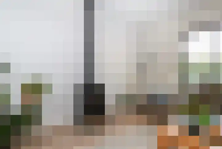 Kruisbessenstraat 25 Rockanje thumbnail 16