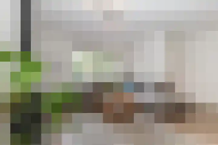 Kruisbessenstraat 25 Rockanje thumbnail 18