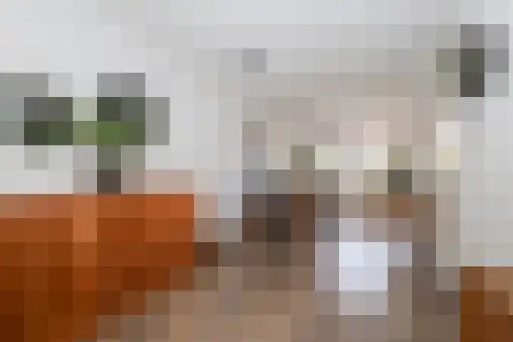 Kruisbessenstraat 25 Rockanje thumbnail 21