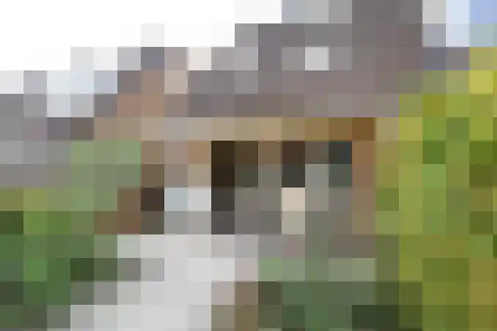 Kruisbessenstraat 25 Rockanje thumbnail 43