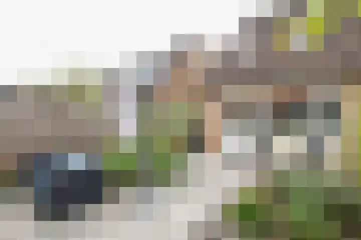 Kruisbessenstraat 25 Rockanje thumbnail 46