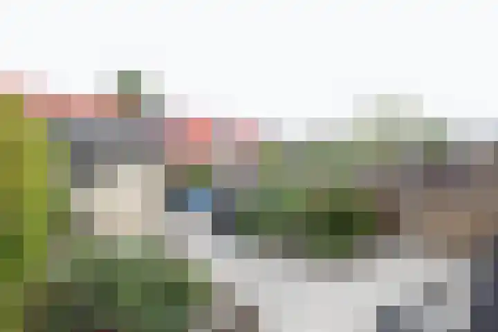 Kruisbessenstraat 25 Rockanje thumbnail 49