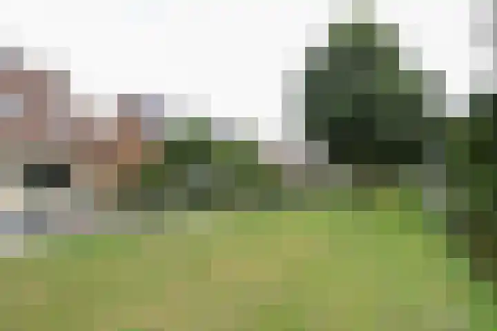 Kruisbessenstraat 25 Rockanje thumbnail 5