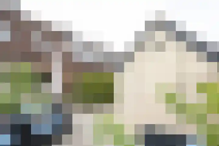 Kruisbessenstraat 25 Rockanje thumbnail 51