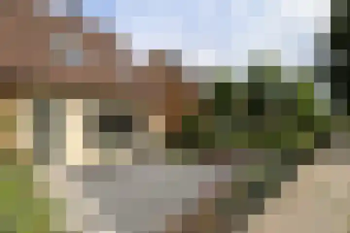 Kruisbessenstraat 25 Rockanje thumbnail 9