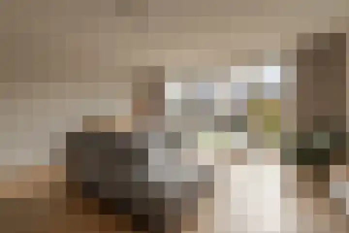 Kruisbessenstraat 35 Oosterhout thumbnail 6