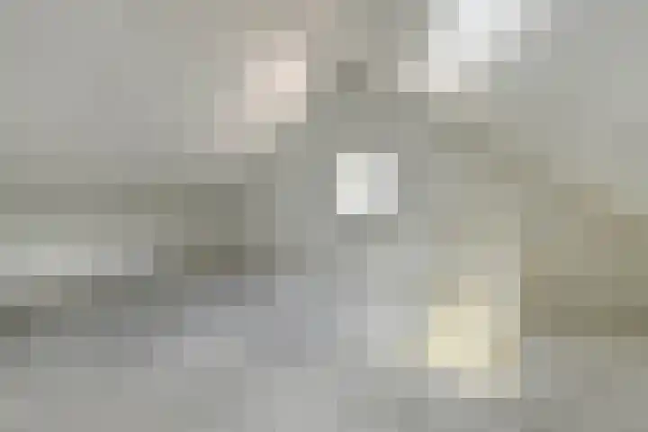 Kruisbessenstraat 37 Oosterhout thumbnail 31