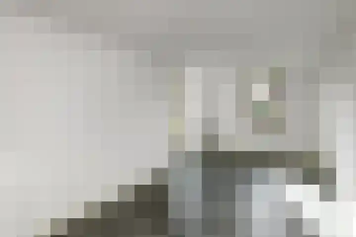 Kruisbessenstraat 37 Oosterhout thumbnail 33