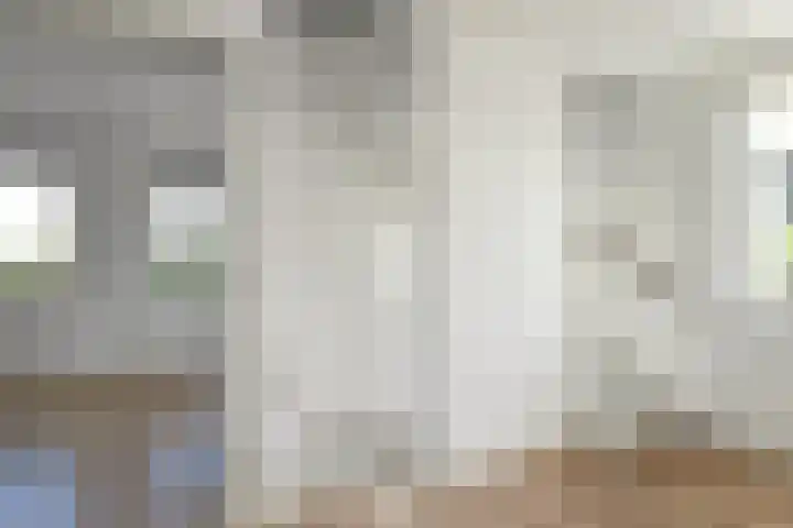 Kruisbessenstraat 39 Oosterhout thumbnail 27