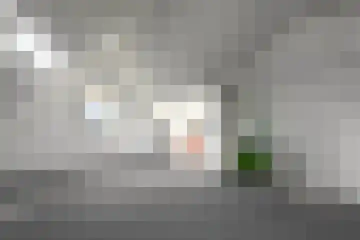 Kruisbessenstraat 39 Oosterhout thumbnail 37