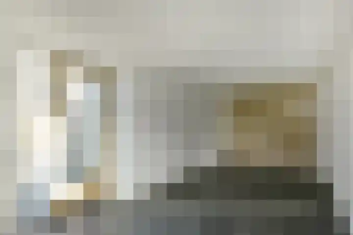 Kruisbessenstraat 39 Oosterhout thumbnail 41