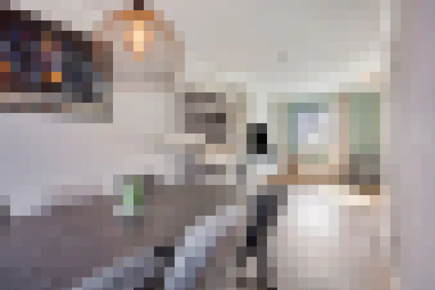 Kruisbessestraat 32 A Krabbendijke thumbnail 11