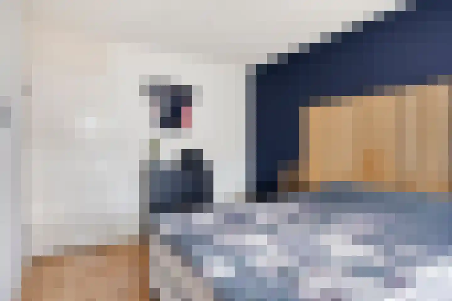 Kruisbessestraat 32 A Krabbendijke thumbnail 22