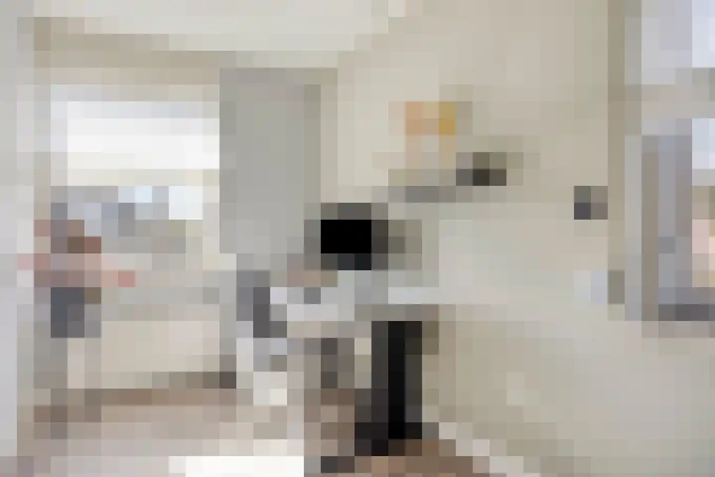 Kruisbessestraat 32 A Krabbendijke thumbnail 25