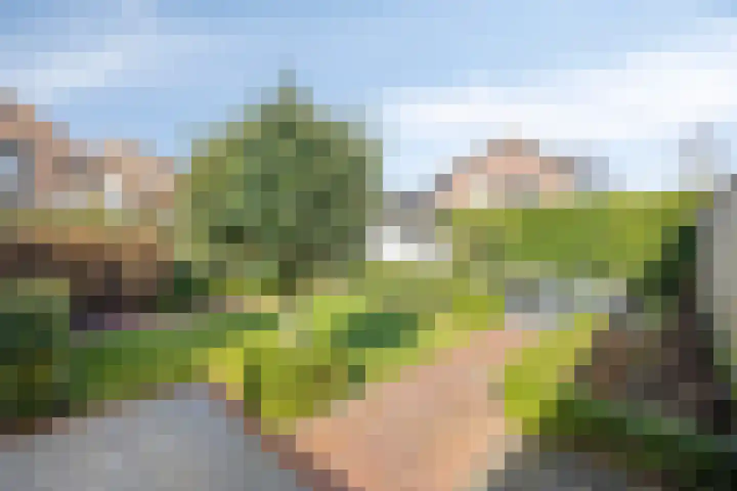Kruisbessestraat 32 A Krabbendijke thumbnail 35