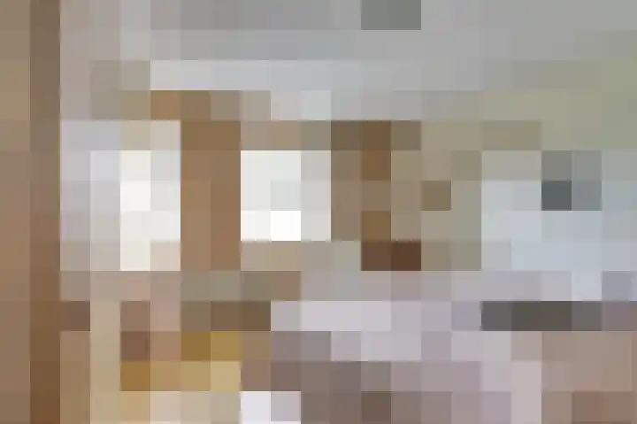 Kruisbessestraat 49 Krabbendijke thumbnail 20