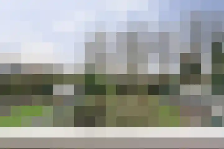 Kruisbessestraat 49 Krabbendijke thumbnail 27