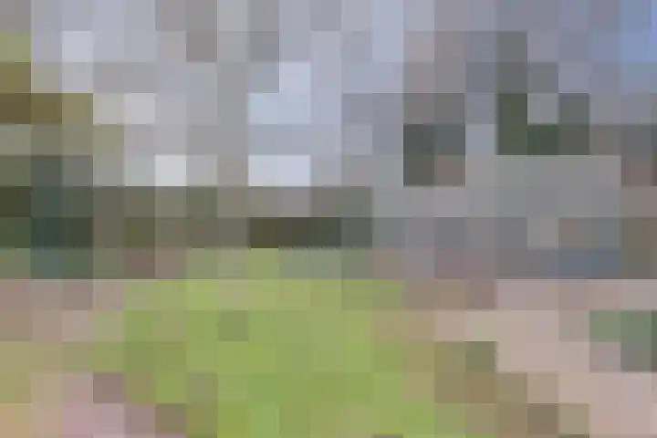 Kruisbessestraat 49 Krabbendijke thumbnail 36