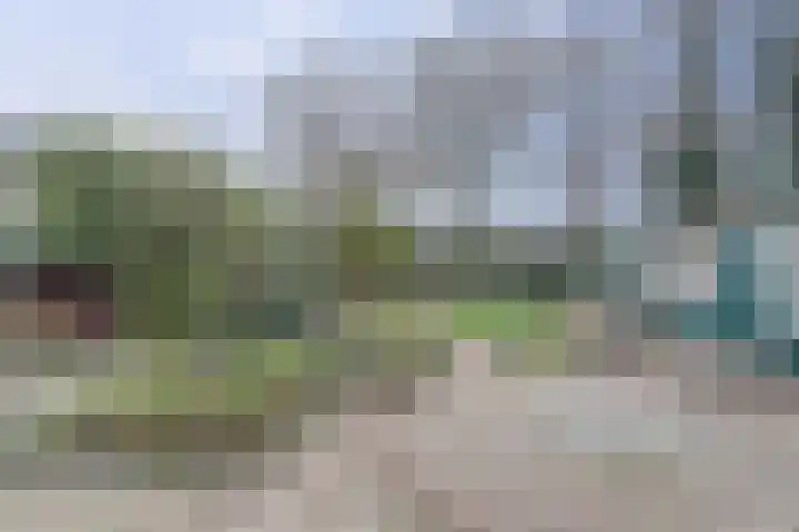 Kruisbessestraat 49 Krabbendijke thumbnail 37