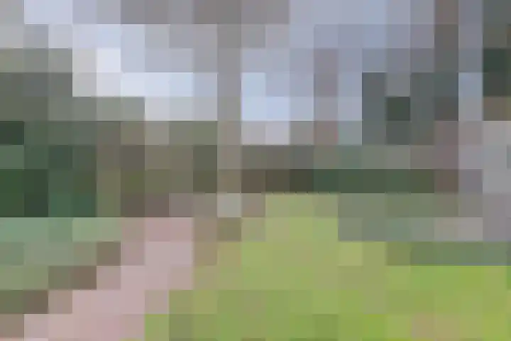 Kruisbessestraat 49 Krabbendijke thumbnail 38