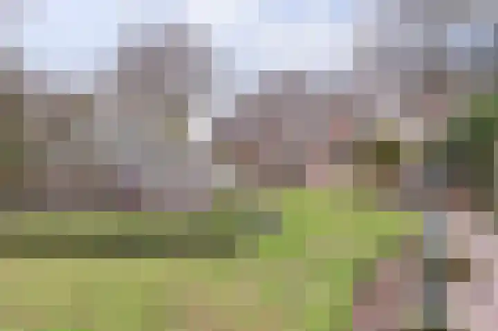 Kruisbessestraat 49 Krabbendijke thumbnail 40