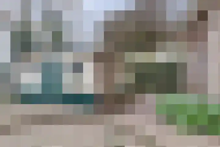 Kruisbessestraat 49 Krabbendijke thumbnail 41