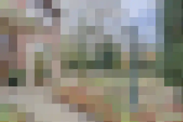 Kruisbessestraat 49 Krabbendijke thumbnail 42