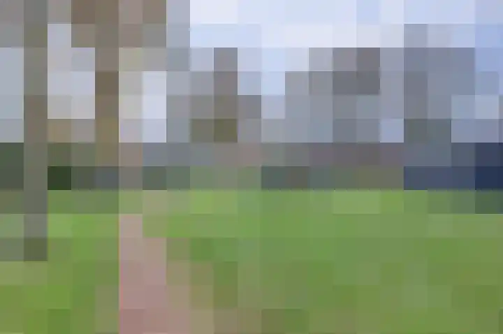 Kruisbessestraat 49 Krabbendijke thumbnail 43