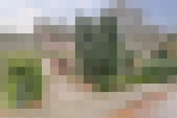 Kruisbessestraat 49 Krabbendijke thumbnail 45