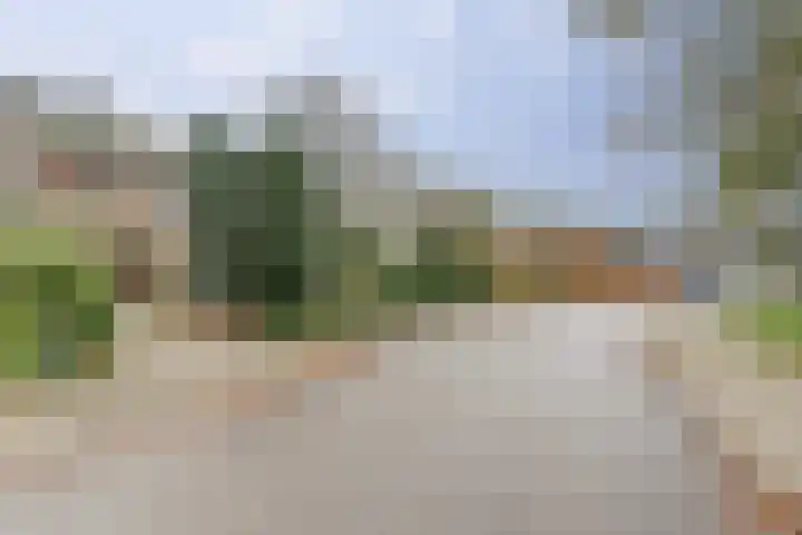Kruisbessestraat 49 Krabbendijke thumbnail 46