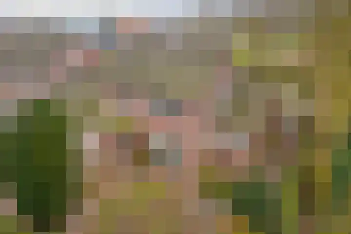 Kruisbessestraat 49 Krabbendijke thumbnail 54