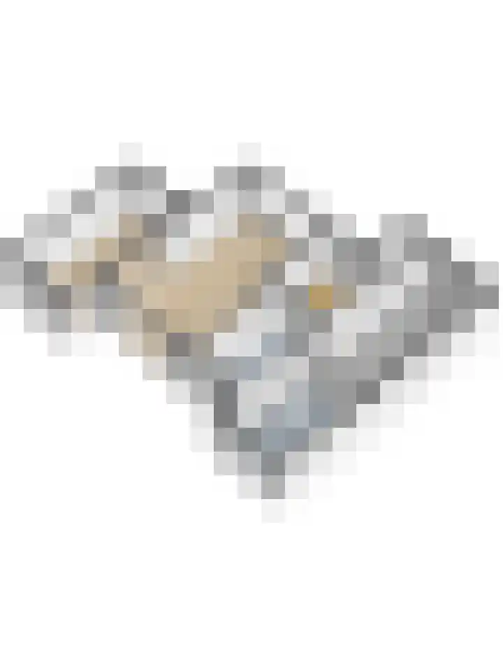 Kruisbessestraat 49 Krabbendijke thumbnail 61