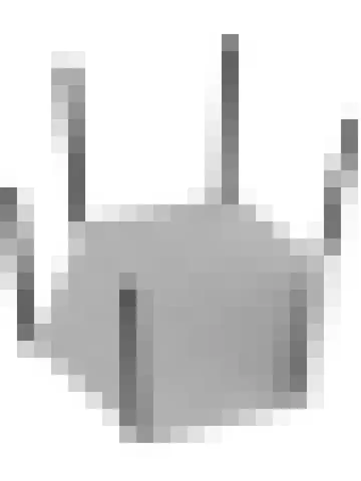Kruisbessestraat 49 Krabbendijke thumbnail 65