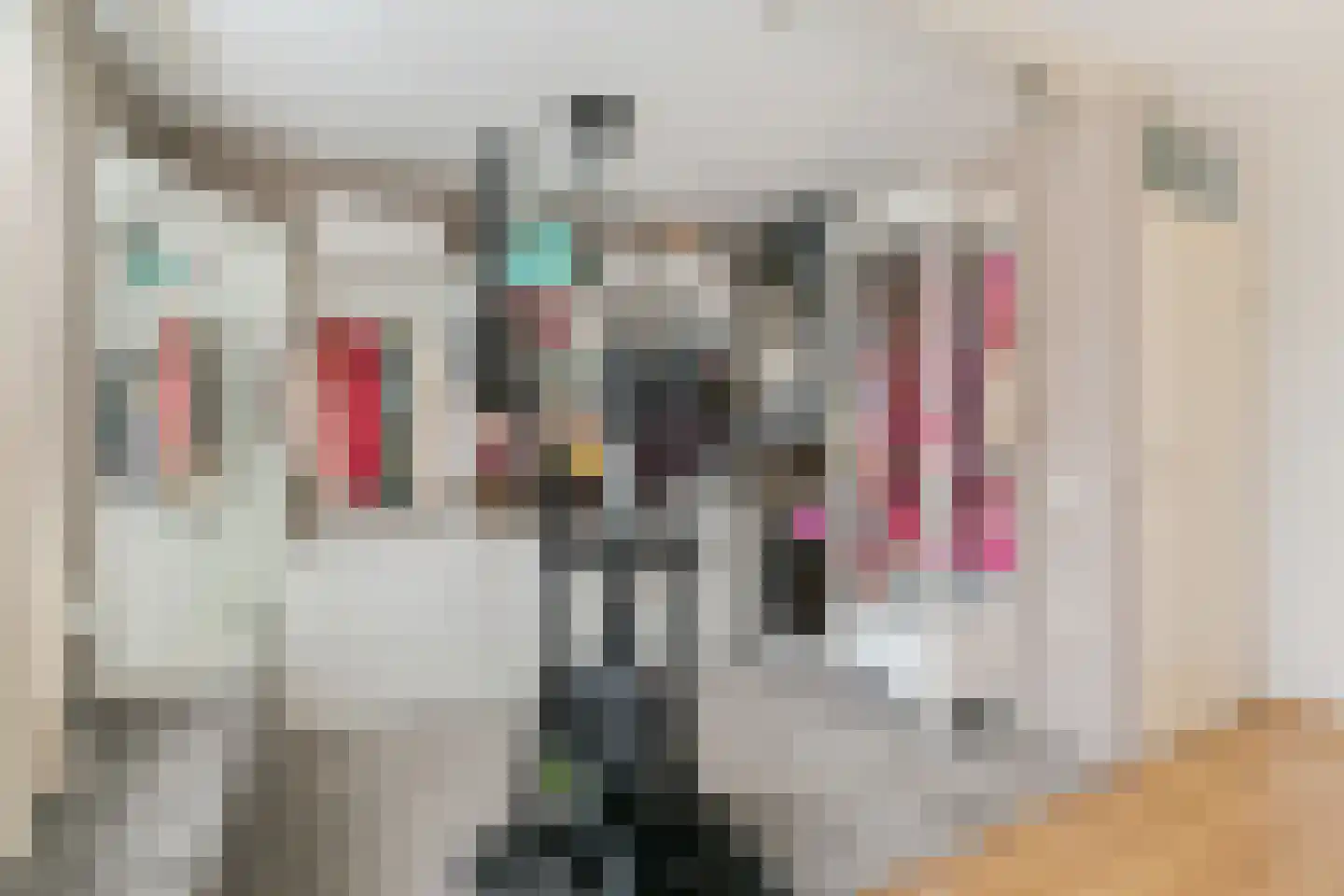 Kruisboog 15 Geldrop thumbnail 28