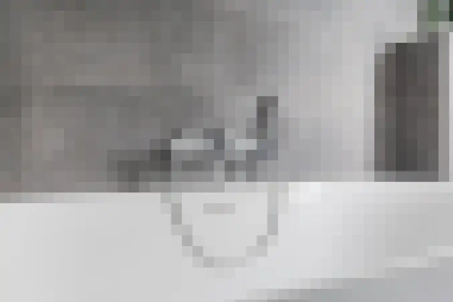 Kruisboog 15 Geldrop thumbnail 34