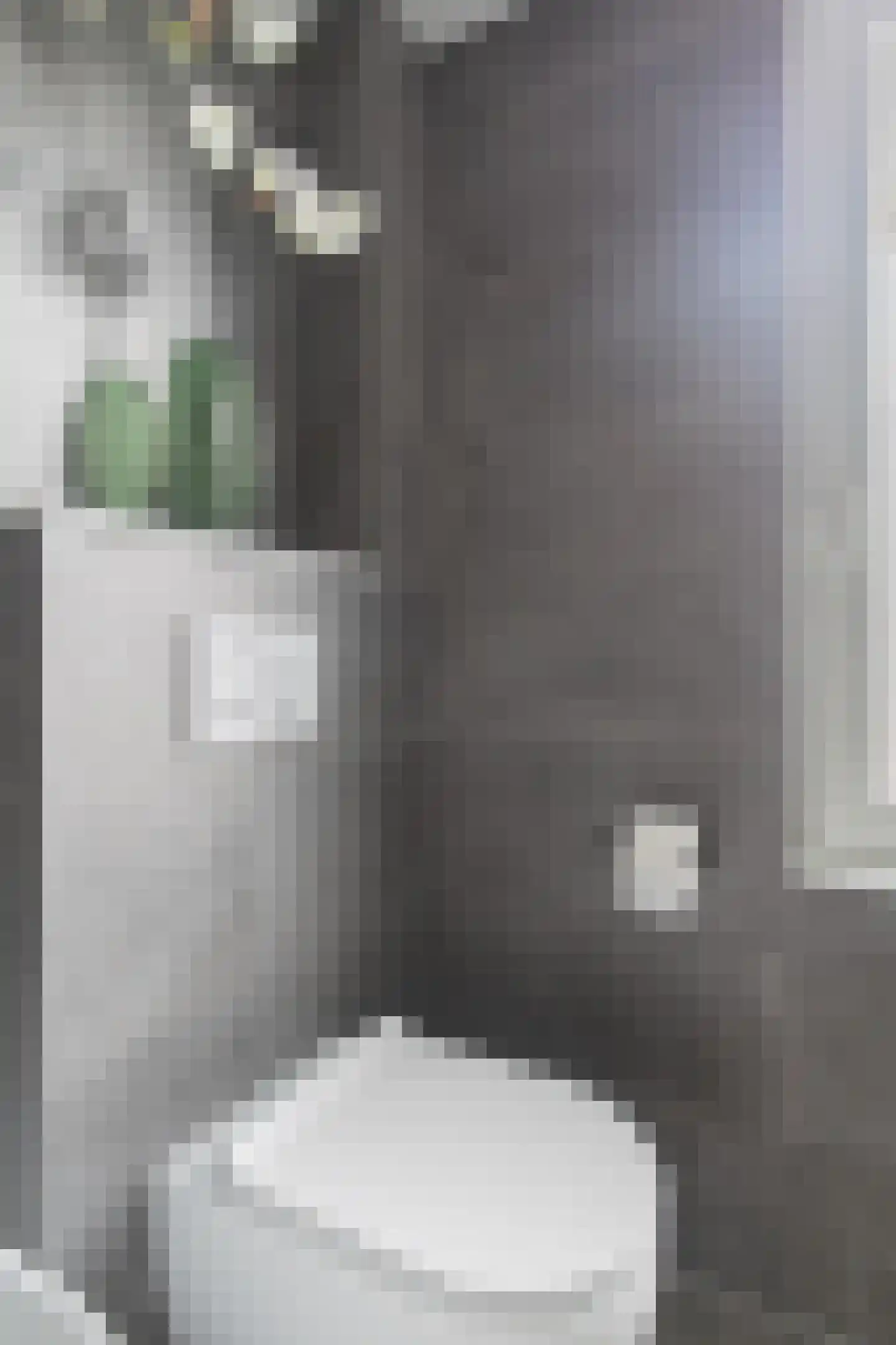 Kruisboog 15 Geldrop thumbnail 35