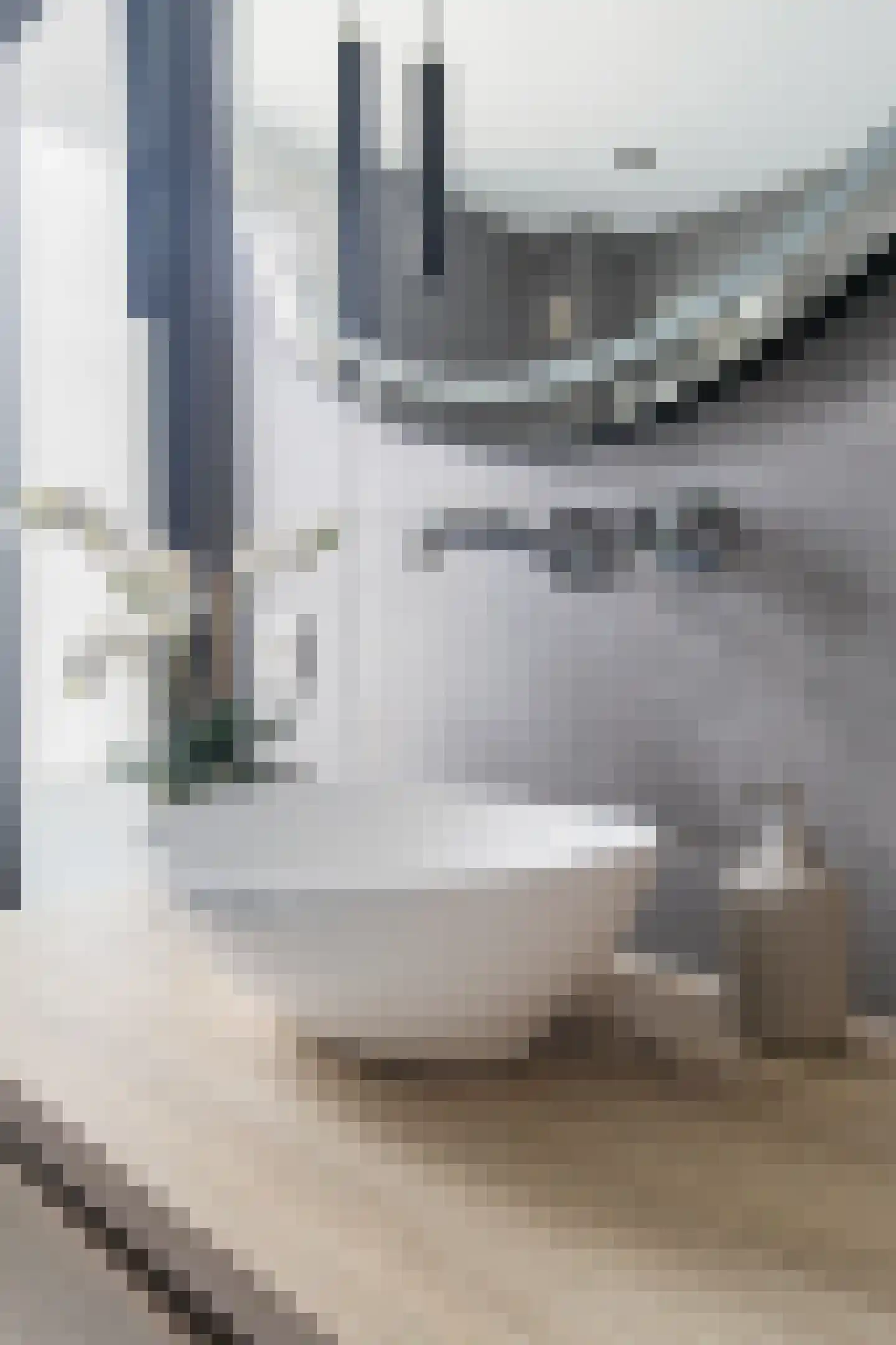 Kruisboog 15 Geldrop thumbnail 36