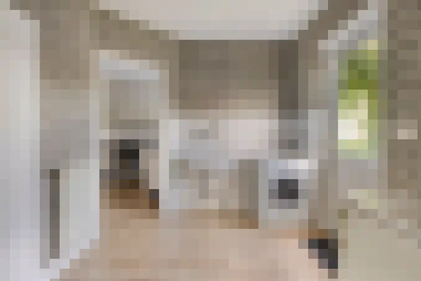 Kruisboog 17 Bergeijk thumbnail 21