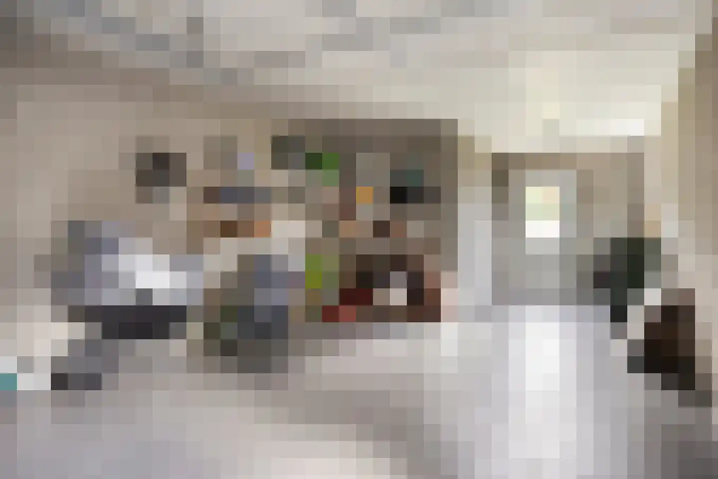 Kruisboog 17 Bergeijk thumbnail 23
