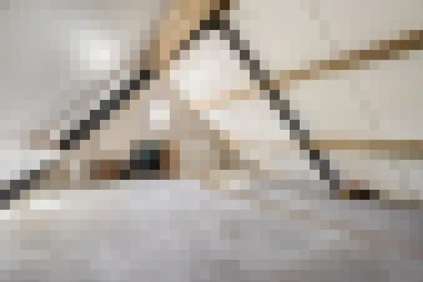 Kruisboog 17 Bergeijk thumbnail 35
